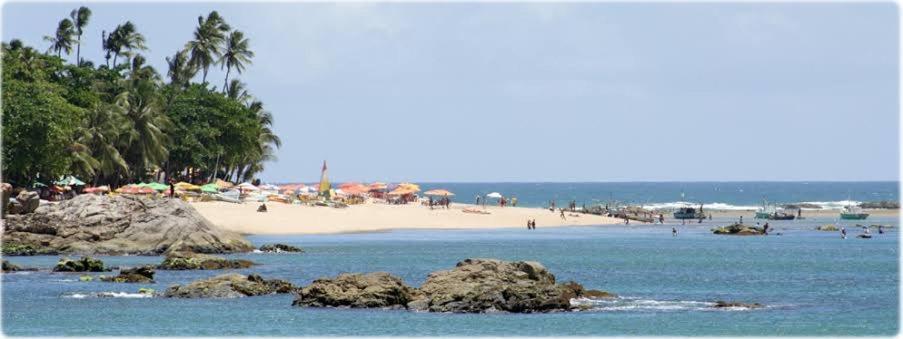 Ferienwohnung Refugio A Beira-Mar, Ap Acolhedor E Jacuzzi Comunal Salvador da Bahia Exterior foto